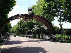 -洋湖国家湿地公园