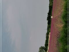 -北京东方普罗旺斯薰衣草庄园