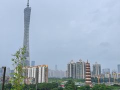 -小茶闲舍·观景商务茶馆(广州塔店)