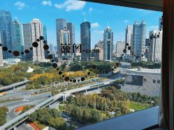 -巍阁高端月子会所