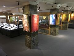 -古陶文明博物馆
