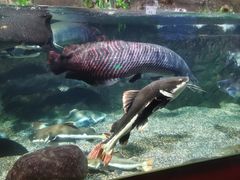 -太平洋海底世界