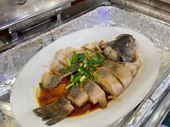 -碧中海汤泉汗蒸酒店