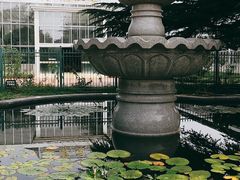 -国家植物园南园