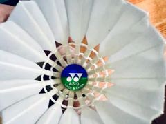 -蓝天网羽(双流路店)