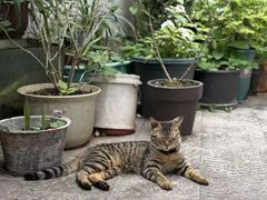 -懒鱼时光馆(沙坪坝店)