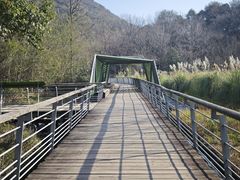 -西湖风景区-江洋畈生态公园