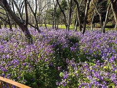 -白塘生态植物园