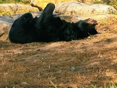 -北京野生动物园