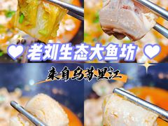 -老刘生态大鱼坊铁锅炖鱼(赛马场店)