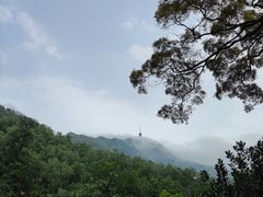 -深圳仙湖植物园