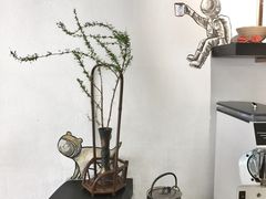 -茶是一枝花泡茶店