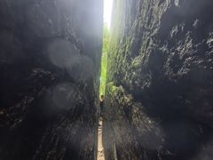 -汤旺河林海奇石景区