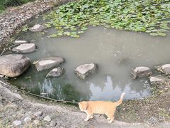 -苏州河梦清园环保主题公园