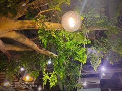 -仙踪林(江燕路万科里店)