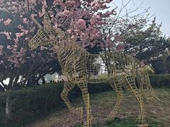 -南山植物园