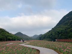 -广州市石门国家森林公园
