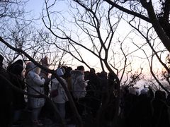 -紫金山山顶公园