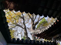 -秋霞圃