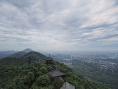 -杭州半山国家森林公园