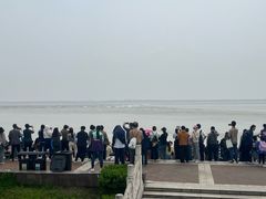 -观潮胜地公园