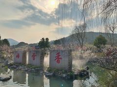 -香雪海
