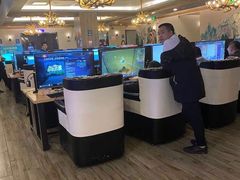 -网鱼电竞(杨浦中原店)