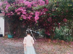 -龟场私房菜