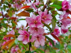 -元大都城垣遗址公园