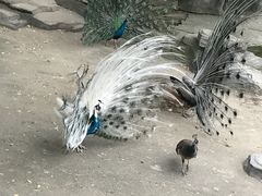-南昌动物园
