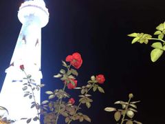 -时光码头民谣公社