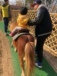 -萌宠亲子动物乐园(槐房万达店)