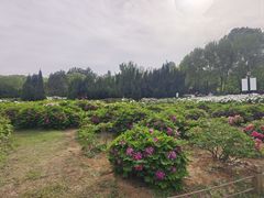 -济南植物园