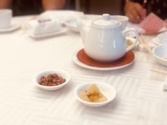 茉莉花茶-潮福城大酒楼·潮粤菜·港式点心(阳光城店)