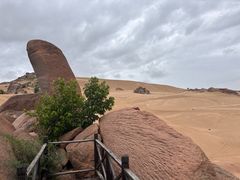 -玉龙沙湖景区