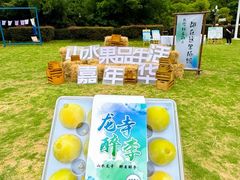 -龙寺生态园