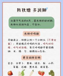 -雅曼妮spa美容养生