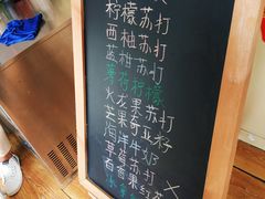 -柴犬高等学院·狗咖·柴犬售卖·宠物训练