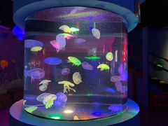 -太平洋海底世界