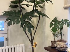 -阿九笨鸡蛋手擀面(总店)