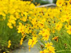 -白塘生态植物园