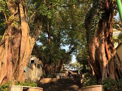 -龙环葡韵住宅式博物馆