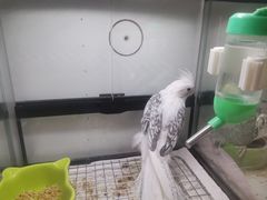 -鹏欣水游城