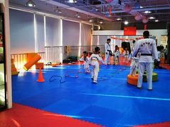 -陈中跆拳道(中关村馆)