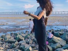 -宝安西湾红树林湿地公园