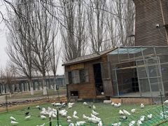 -长白岛森林公园