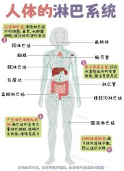 点击看大图 -玛莲朵·海菲秀冰珀科