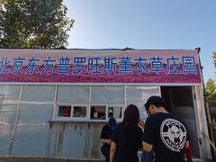 -北京东方普罗旺斯薰衣草庄园