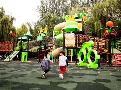 -金宝幼儿园(通州校区)