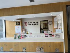-艾贝尔宠物医院·24H转诊中心·肿瘤猫专科(江宁双龙店)